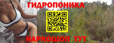 эйфоретик Обнинск