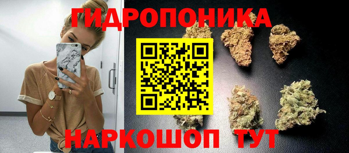 Шишки марихуана сатива Павловский Посад